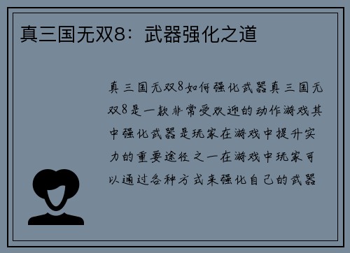 真三国无双8：武器强化之道