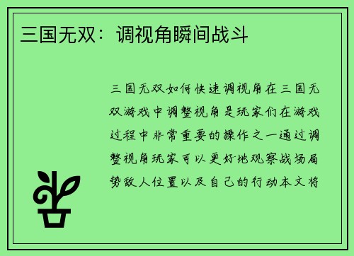 三国无双：调视角瞬间战斗